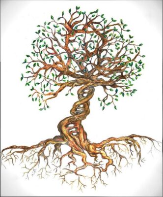 Food for The Soil Food for The Soul