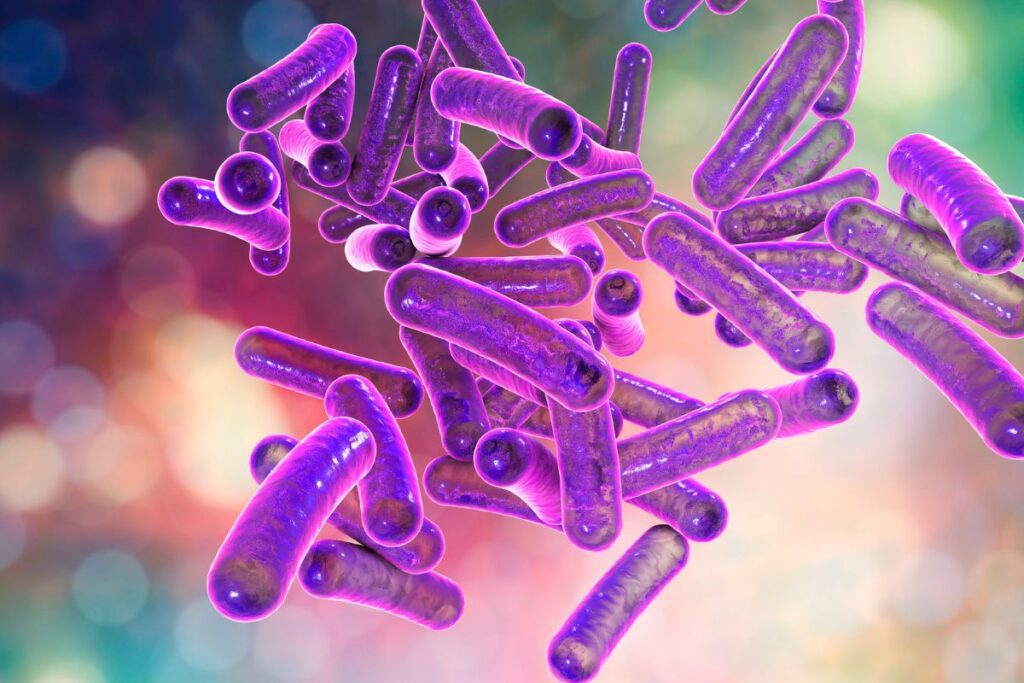 Classification of Microorganisms