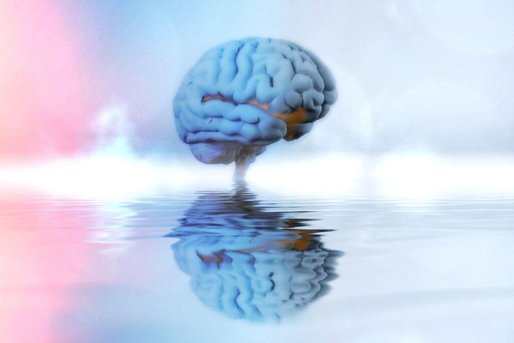 The Vital Role of Water in Aging and Brain Health