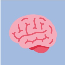 Water Brain