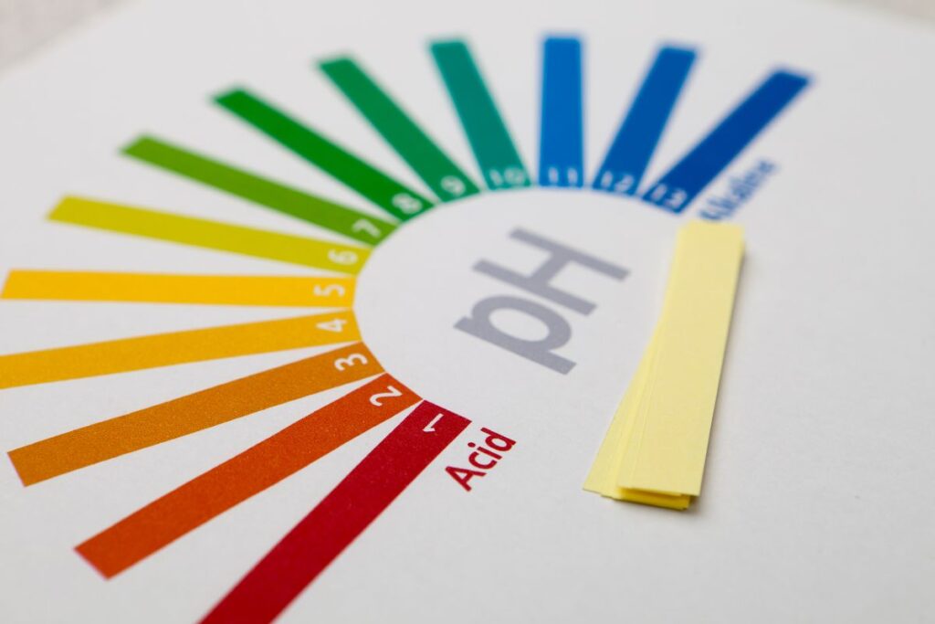 pH balance in our bodies