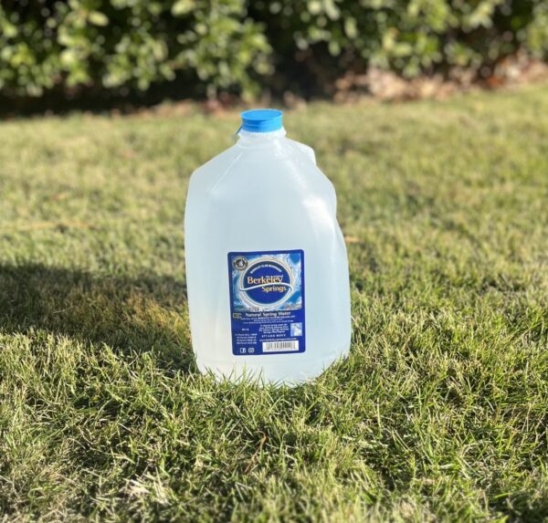 One Gallon Berkeley Springs Natural Spring Water